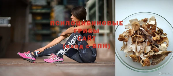 бошки Надым