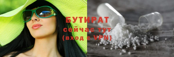 шишки Михайловск