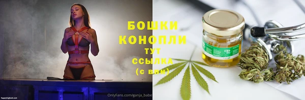 бошки Надым