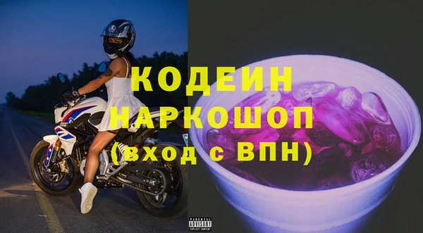 шишки Михайловск