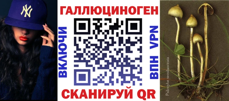 Псилоцибиновые грибы GOLDEN TEACHER  Купить закладки  Калязин 
